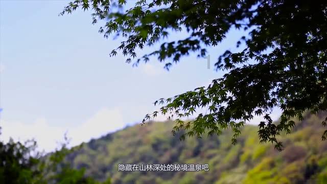 请问这个是什么虫子？如何消灭？十万火急！